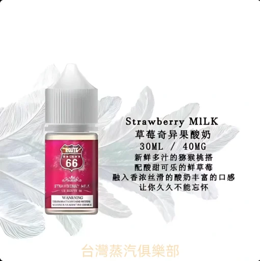 ROUTE 66尼古丁煙油 30ml/ 40mg 美國66公路小煙推薦 台灣現貨免運：圖片 5