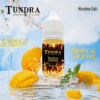 TUNDRA TROPICAL T牌芒果小煙油